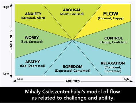 The science of peak performance: How to reach flow, and consequently a happier life? - Omnipemf 4