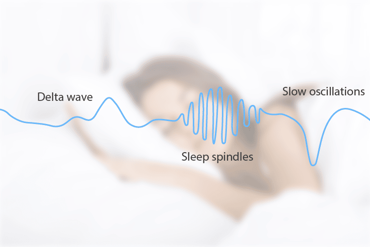 When your brain slows down: the science of Delta waves - Omnipemf 8