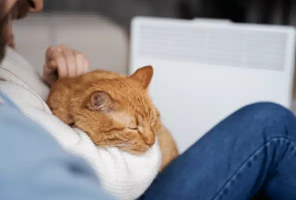 Petspemf Pad for Cats - Omnipemf 14